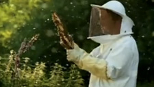Vorschaubild des Videos