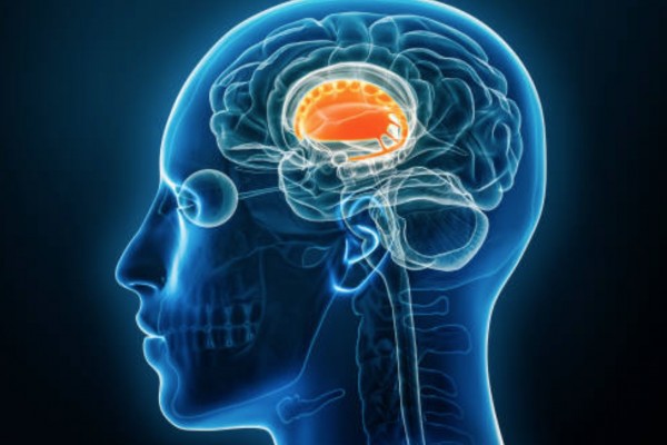 Brand Love Isn't Love