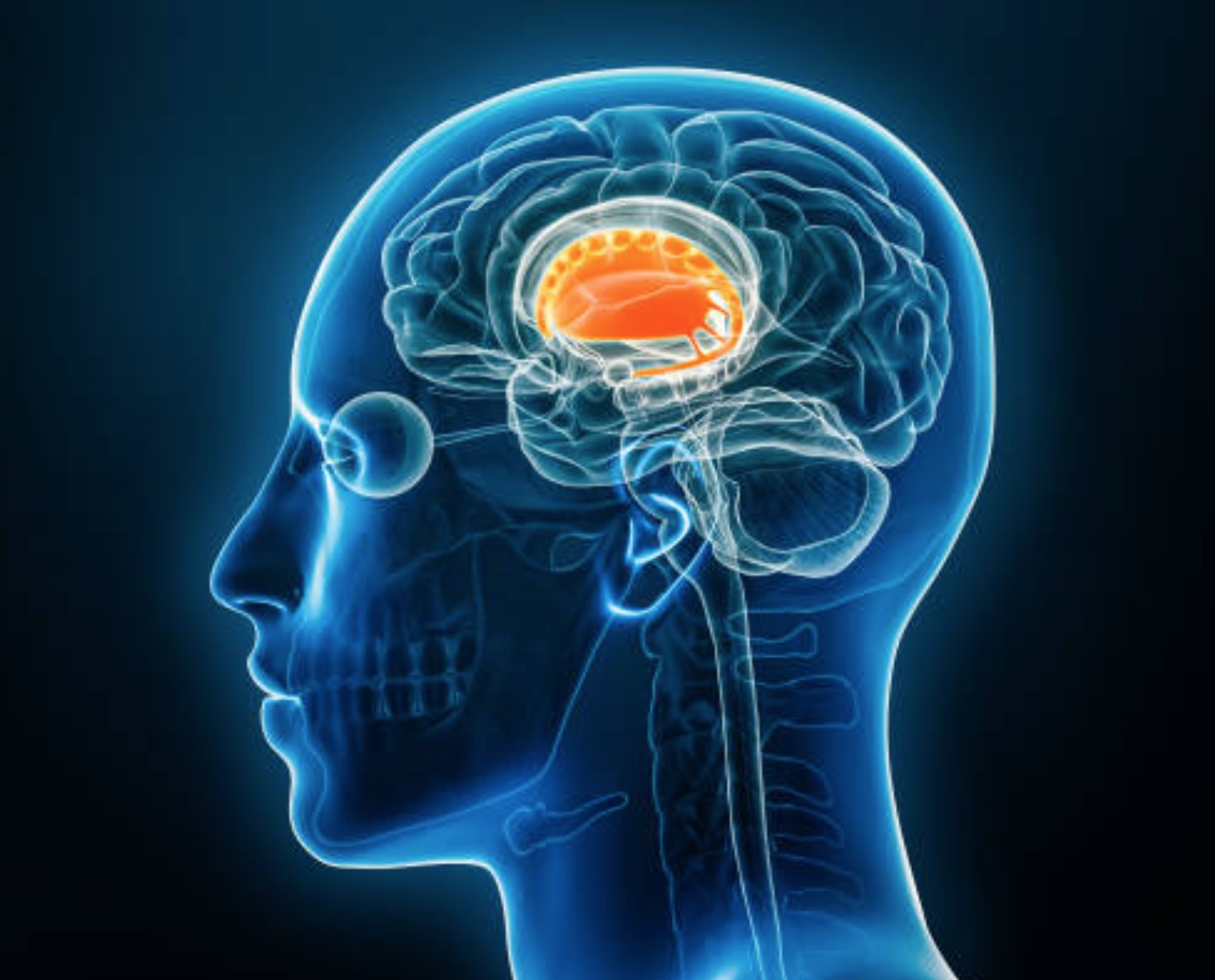 Brand Love Isn't Love